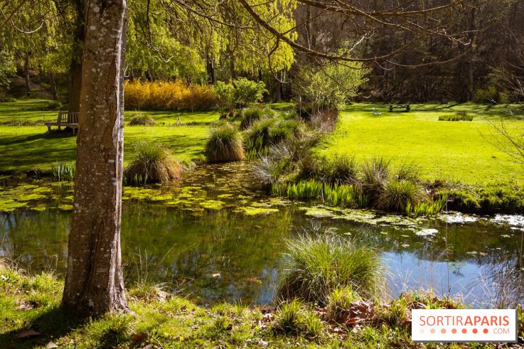 Les tulipes du Château de Dampierre, son jardin anglais et le jardin Le Nôtre - IMG 2953