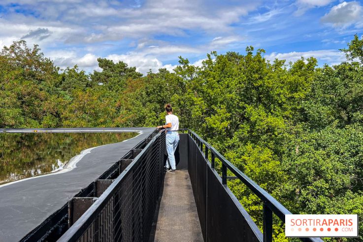 Le Cyclop, le géant d’acier caché dans les bois de Milly-la-Forêt - IMG 6068