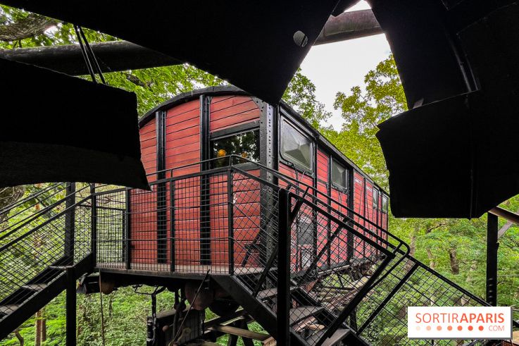 Le Cyclop, le géant d’acier caché dans les bois de Milly-la-Forêt - IMG 6083