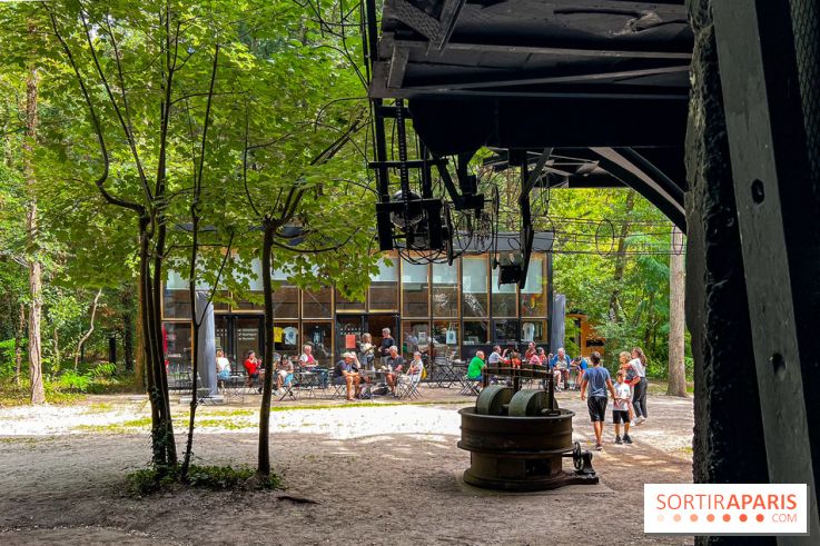 Le Cyclop, le géant d’acier caché dans les bois de Milly-la-Forêt - IMG 6222