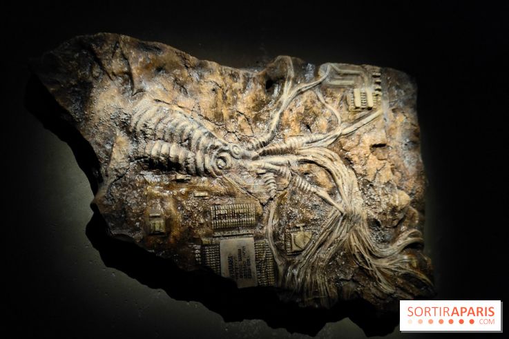 Les Extatiques souterrains : un parcours artistique introspectif sous la Grande arche de La Défense - fotor 1775122120427