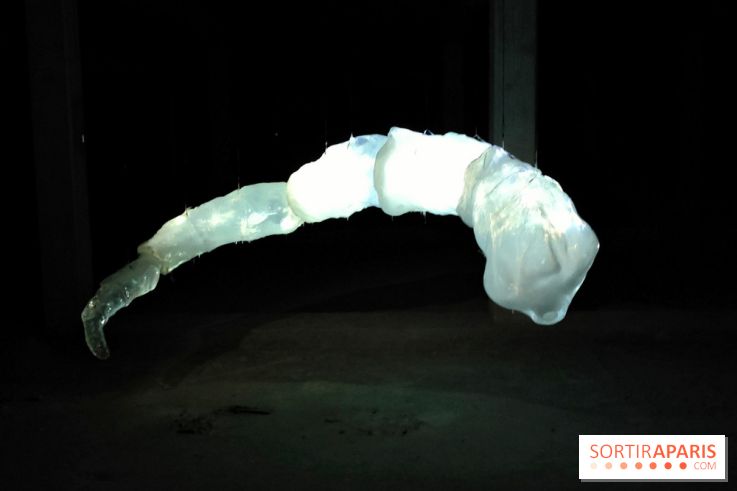 Les Extatiques souterrains : un parcours artistique introspectif sous la Grande arche de La Défense - fotor 1775122179671