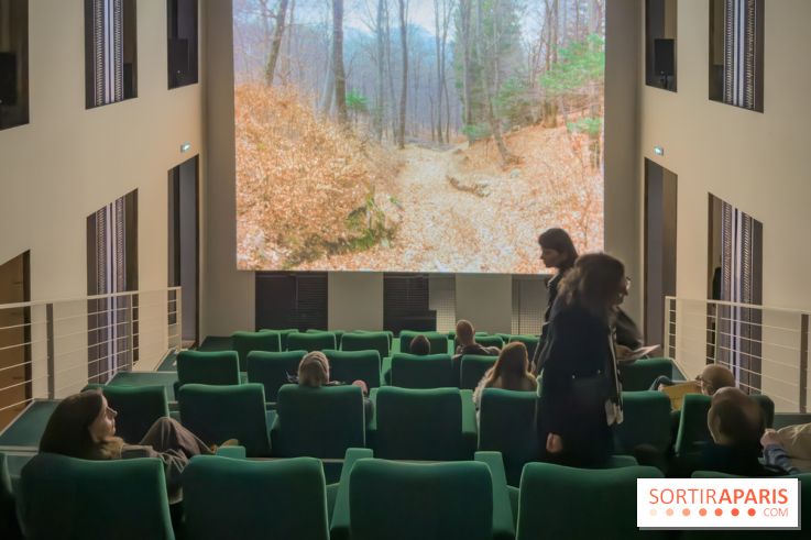 Expositions Diego Marcon et Ladji Diaby à Lafayette Anticipations - IMG 5538