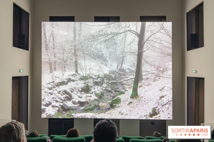 Expositions Diego Marcon et Ladji Diaby à Lafayette Anticipations - IMG 5552