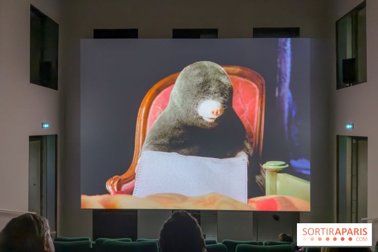 Expositions Diego Marcon et Ladji Diaby à Lafayette Anticipations - IMG 5562