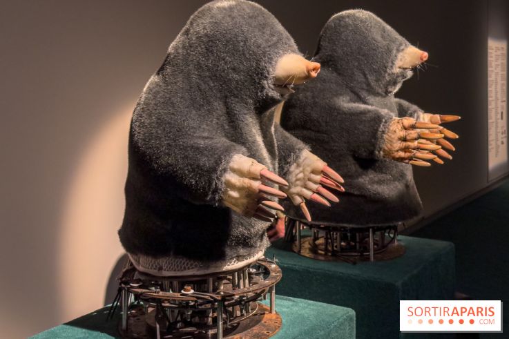 Expositions Diego Marcon et Ladji Diaby à Lafayette Anticipations - IMG 5567