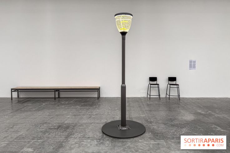 Benoît Piéron au Palais de Tokyo : une exposition sur le soin et la vulnérabilité - IMG 5868