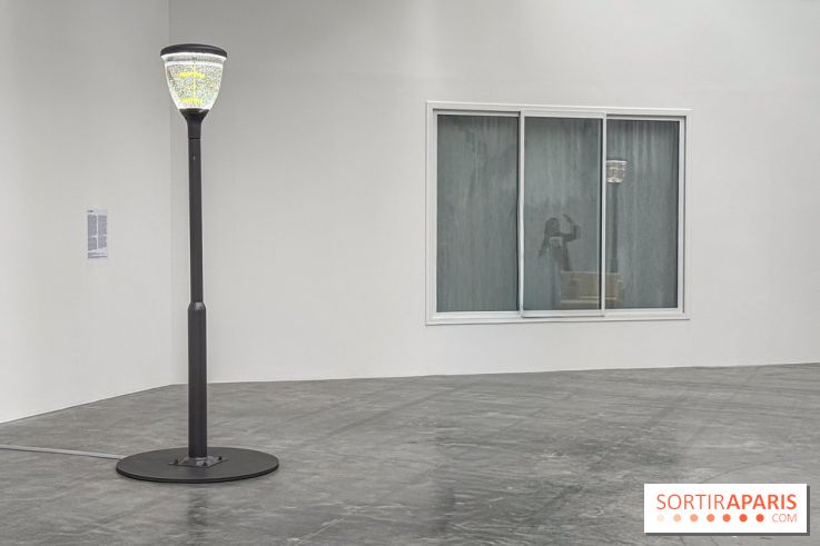 Benoît Piéron au Palais de Tokyo : une exposition sur le soin et la vulnérabilité - IMG 5871