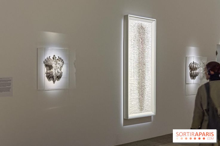 Cathy de Monchaux au Palais de Tokyo : la rétrospective à voir à Paris - IMG 5906