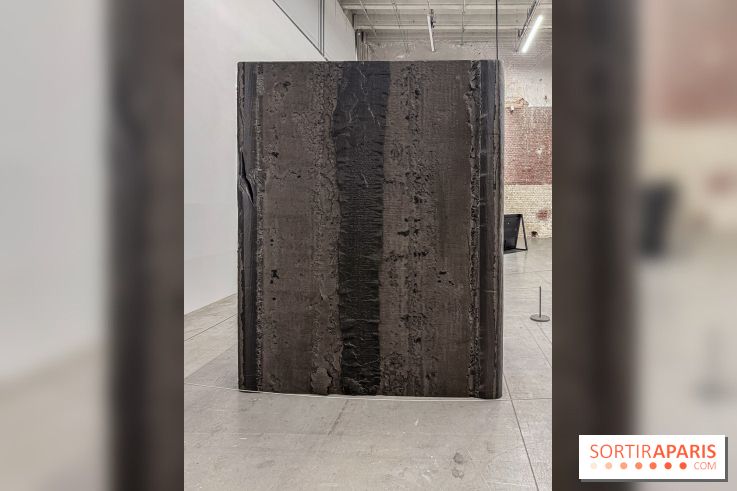 Au Palais de Tokyo, Cheryl Marie Wade explore la culture crip et la poésie engagée - IMG 5951