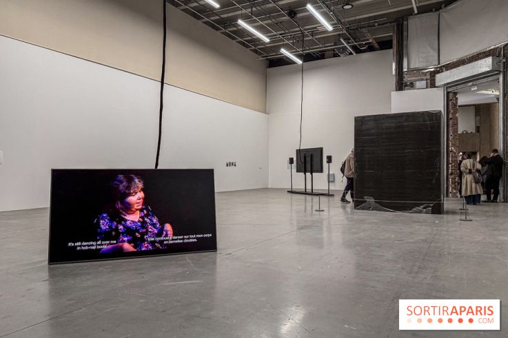 Au Palais de Tokyo, Cheryl Marie Wade explore la culture crip et la poésie engagée - IMG 5955