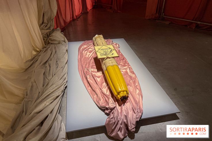 Pauline Curnier Jardin au Palais de Tokyo : l'exposition autour des mythes et des corps - IMG 5971