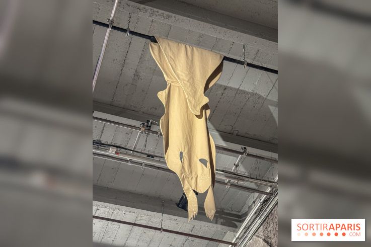 Pauline Curnier Jardin au Palais de Tokyo : l'exposition autour des mythes et des corps - IMG 5987