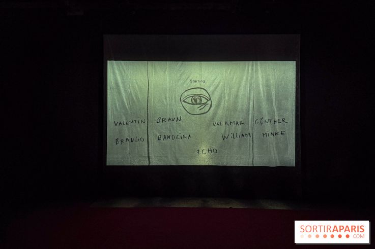 Pauline Curnier Jardin au Palais de Tokyo : l'exposition autour des mythes et des corps - IMG 5995