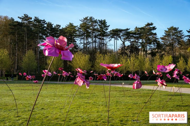 Hanami au Parc de Sceaux 2026, les cerisiers en fleurs et ses  animations