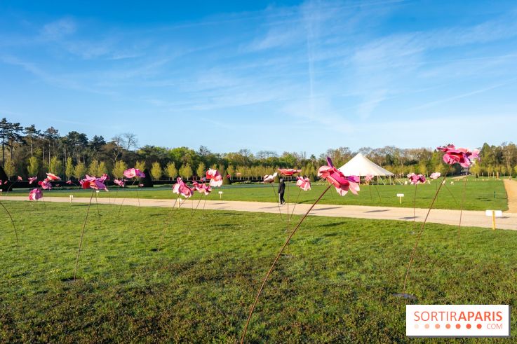 Hanami au Parc de Sceaux 2026, les cerisiers en fleurs et ses  animations - A7C01362