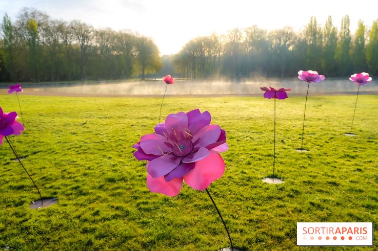 Hanami au Parc de Sceaux 2026, les cerisiers en fleurs et ses  animations