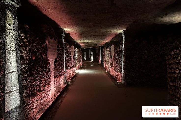Les Catacombes de Paris 2026 - IMG 3677