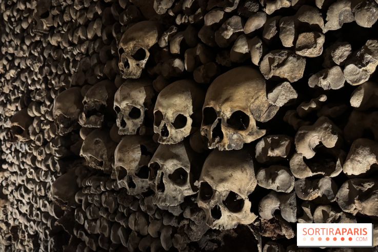 Les Catacombes de Paris 2026 - IMG 3685
