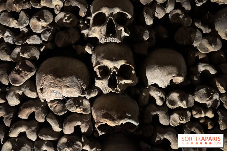 Les Catacombes de Paris 2026 - IMG 3686