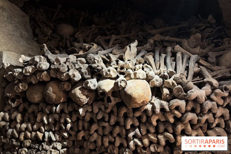 Les Catacombes de Paris 2026 - IMG 3691