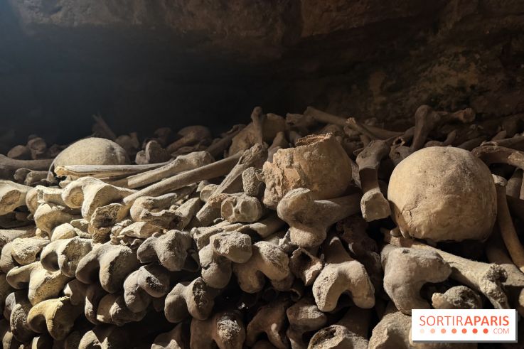 Les Catacombes de Paris 2026 - IMG 3692