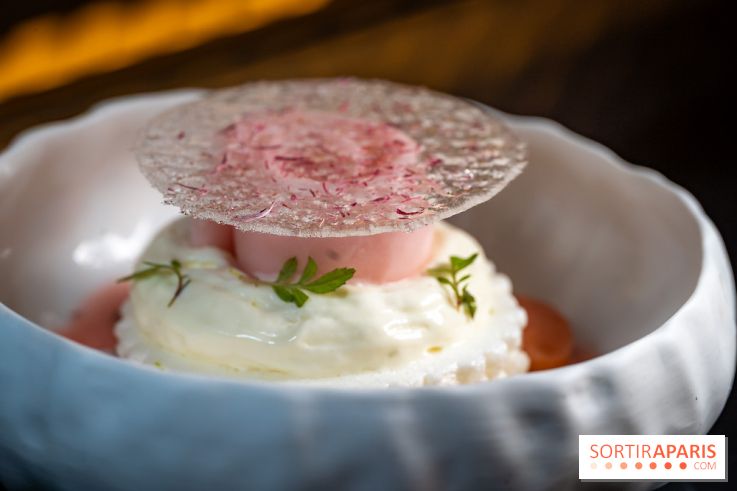 Rivages restaurent de la mer du Scribe Opéra Paris 9e, les photos - rhubarbe