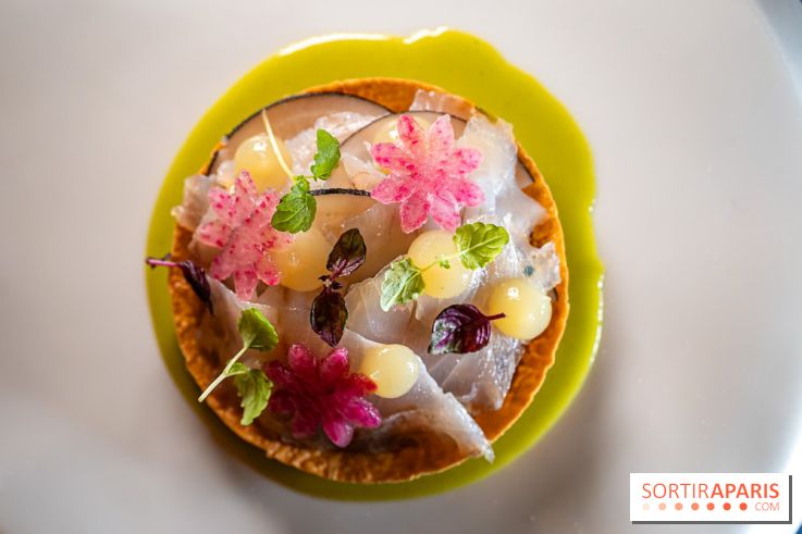 Rivages restaurent de la mer du Scribe Opéra Paris 9e, les photos - ceviche