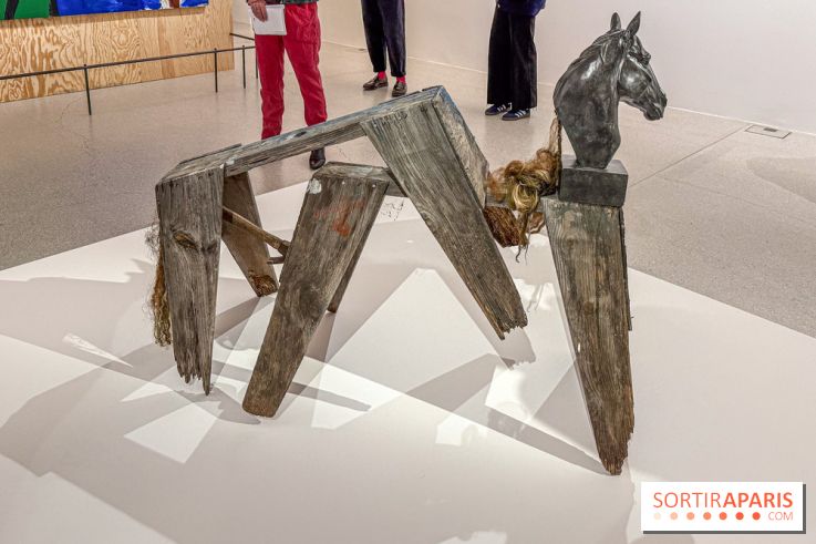 Exposition Henry Taylor au Musée Picasso - IMG 6008