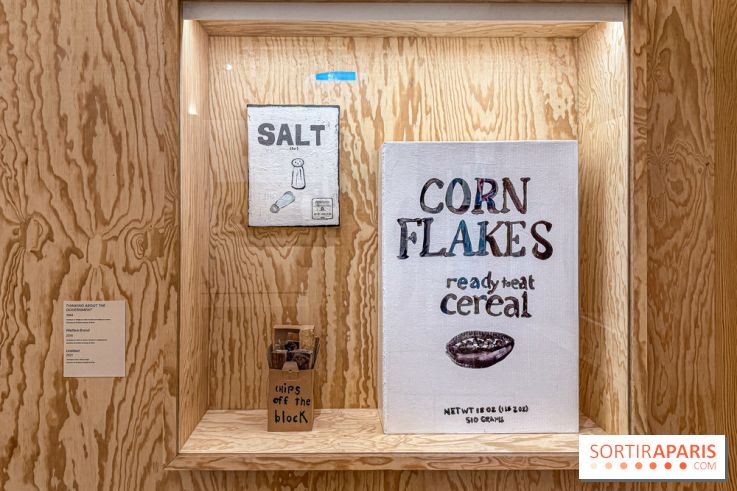 Exposition Henry Taylor au Musée Picasso - IMG 6053