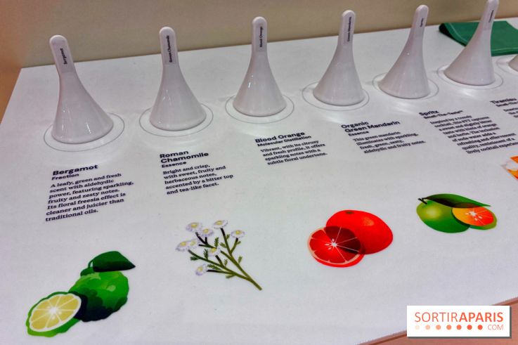 Paris Perfume Week