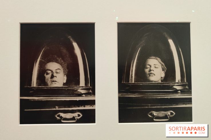 Lee Miller : une exposition consacrée à la photographe américaine au Musée d’Art Moderne de Paris  - fotor 1775730904542