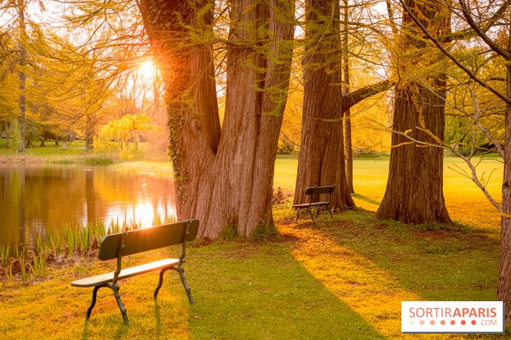 Château de Courson et son domaine : Parc Botanique et Jardin Remarquable en Région Parisienne  - A7C02963 Edit