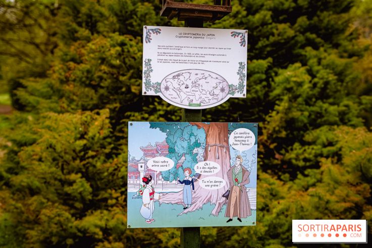 Château de Courson et son domaine : Parc Botanique et Jardin Remarquable en Région Parisienne  - A7C02957