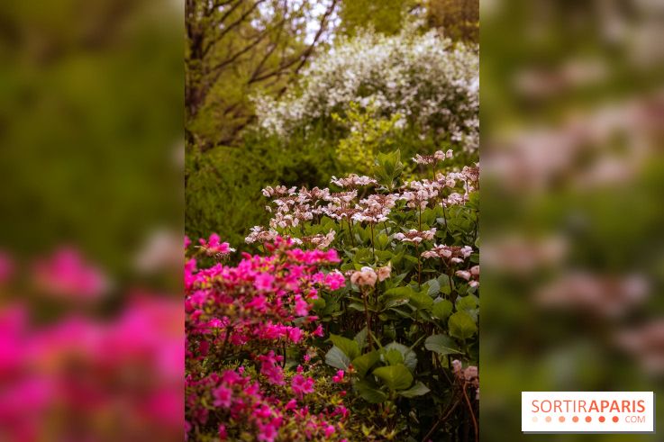Château de Courson et son domaine : Parc Botanique et Jardin Remarquable en Région Parisienne  - A7C02953
