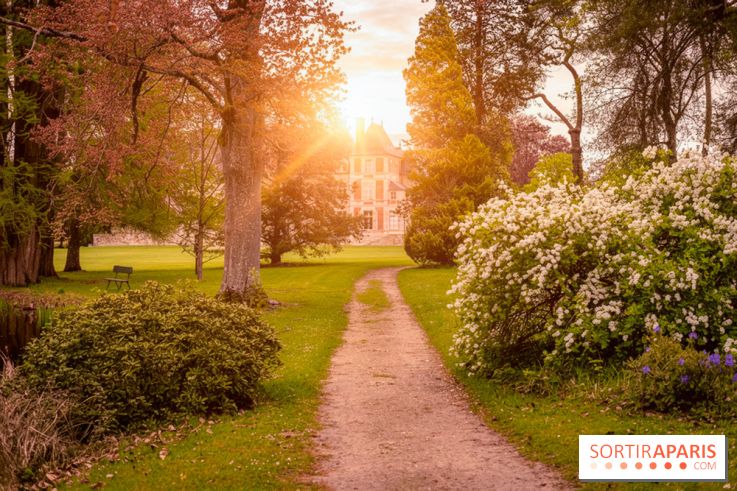 Château de Courson et son domaine : Parc Botanique et Jardin Remarquable en Région Parisienne  - A7C02958 Edit