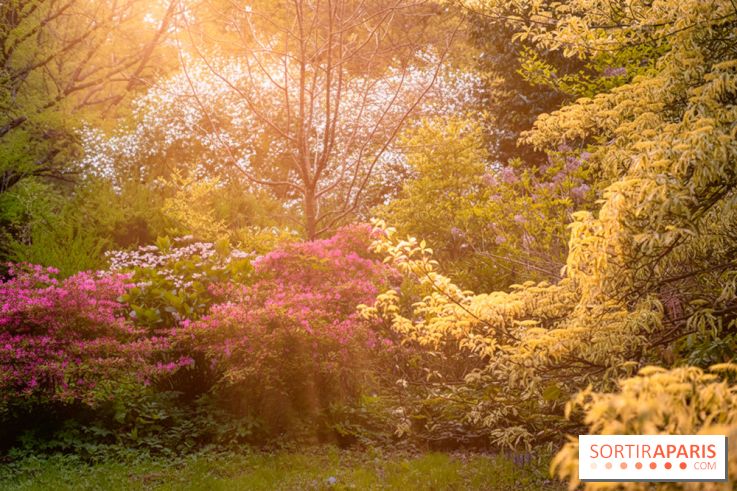 Château de Courson et son domaine : Parc Botanique et Jardin Remarquable en Région Parisienne  - A7C02951 Edit