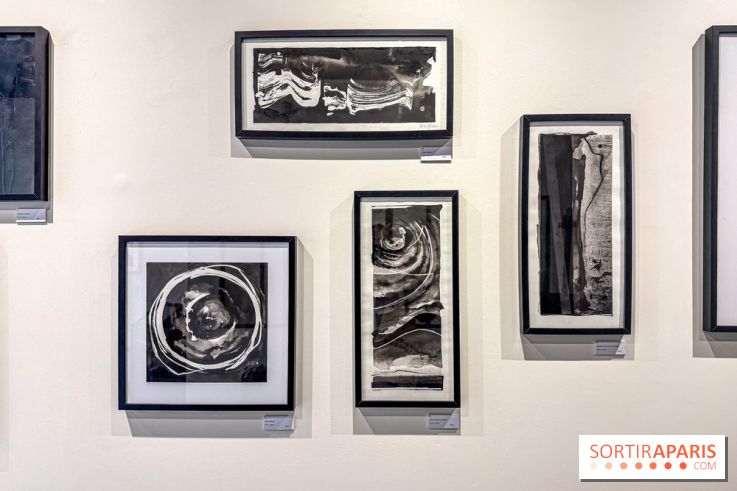 Fantôme à la galerie La Lison : exposition Avant les cendres - IMG 6198