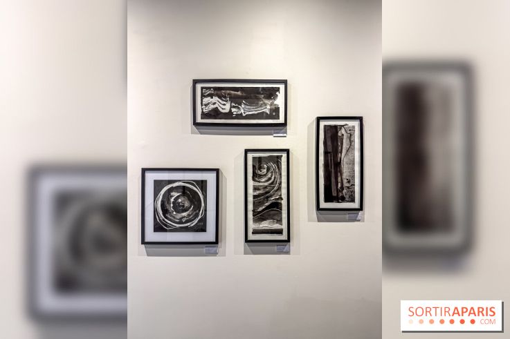 Fantôme à la galerie La Lison : exposition Avant les cendres