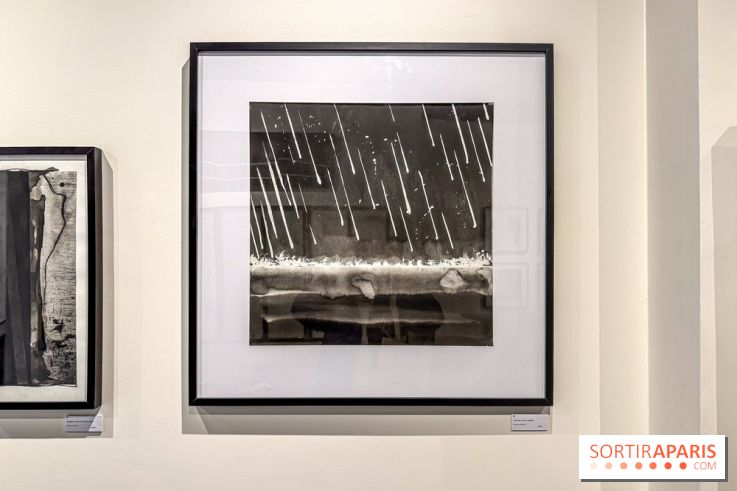 Fantôme à la galerie La Lison : exposition Avant les cendres - IMG 6200