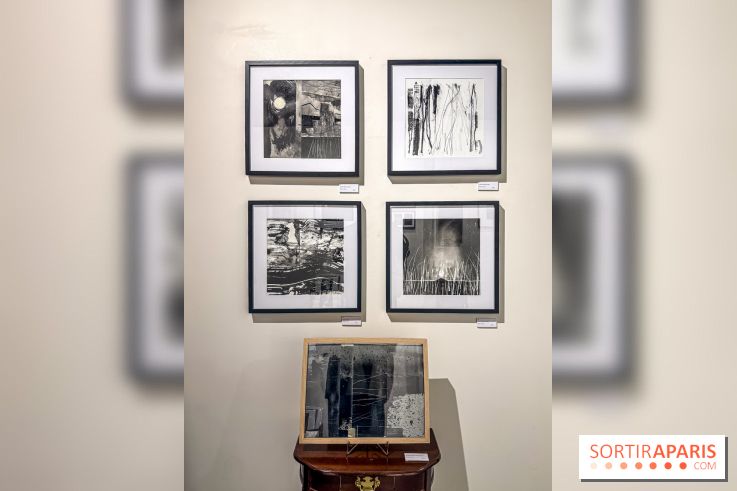 Fantôme à la galerie La Lison : exposition Avant les cendres