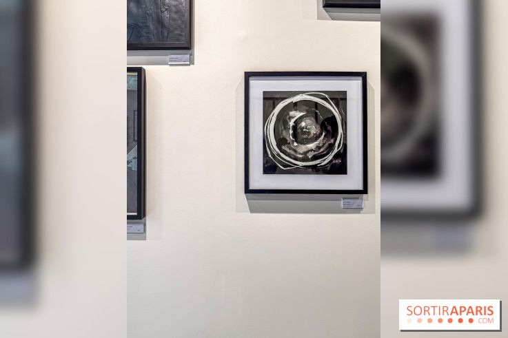Fantôme à la galerie La Lison : exposition Avant les cendres