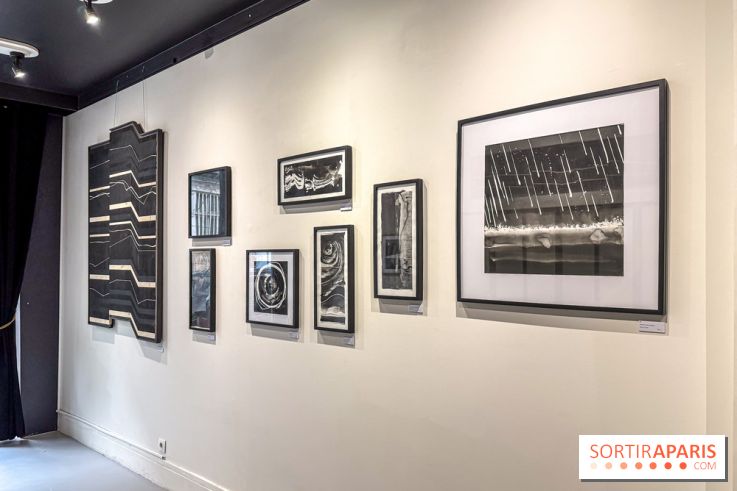 Fantôme à la galerie La Lison : exposition Avant les cendres
