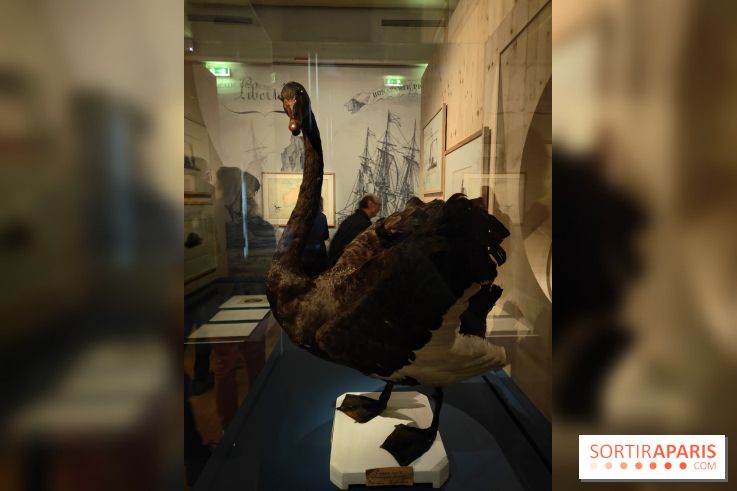 Explorateurs, une exposition du musée de l'armée
