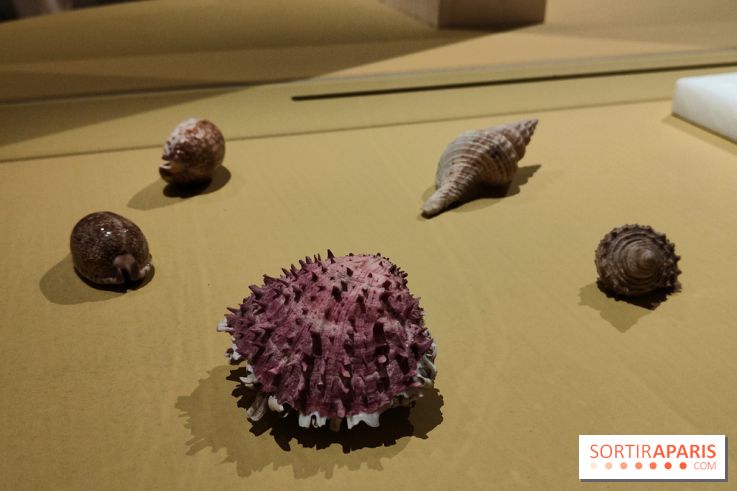 Explorateurs, une exposition du musée de l'armée