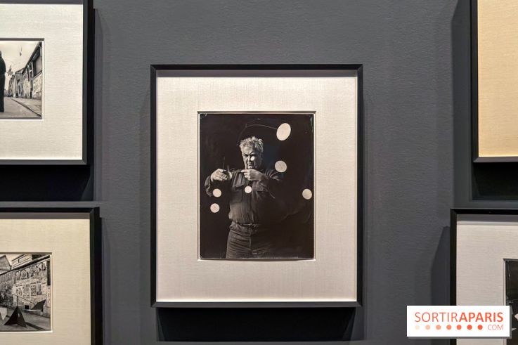 Calder. Rêver en Équilibre : l'exposition retrospective du  - IMG 3209