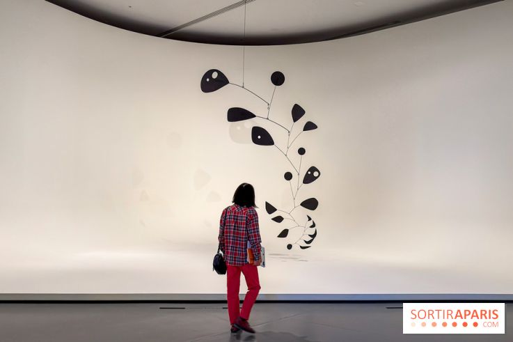 Calder. Rêver en Équilibre : l'exposition retrospective du  - IMG 2716