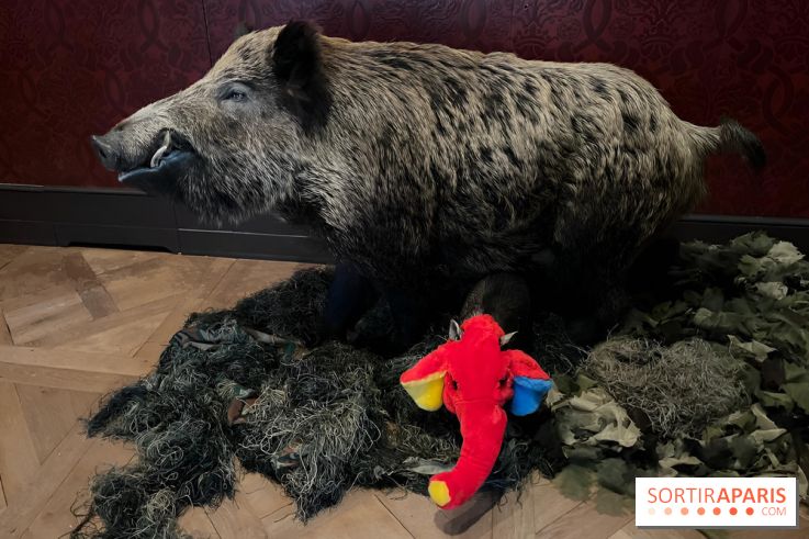 Annette Message au musée de la Chasse et de la Nature - nos photos