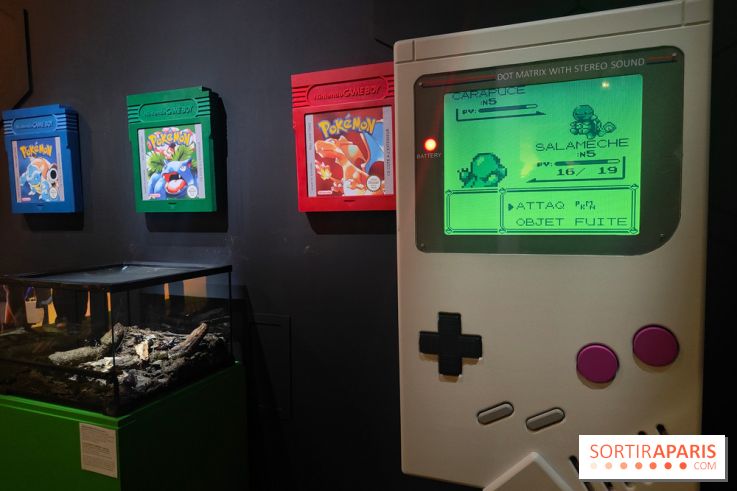 Admirez-les tous, Pokémon à l'honneur dans une exposition ludique et régressive au musée en Herbe