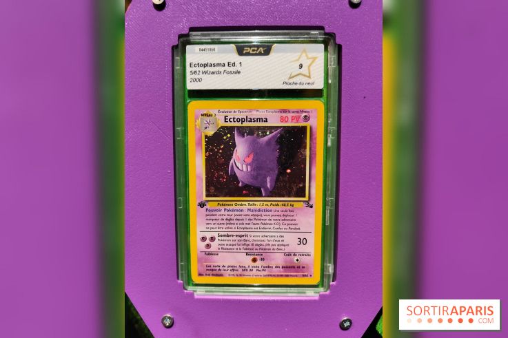 Admirez-les tous, Pokémon à l'honneur dans une exposition ludique et régressive au musée en Herbe